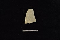 藏品(陶片)的圖片